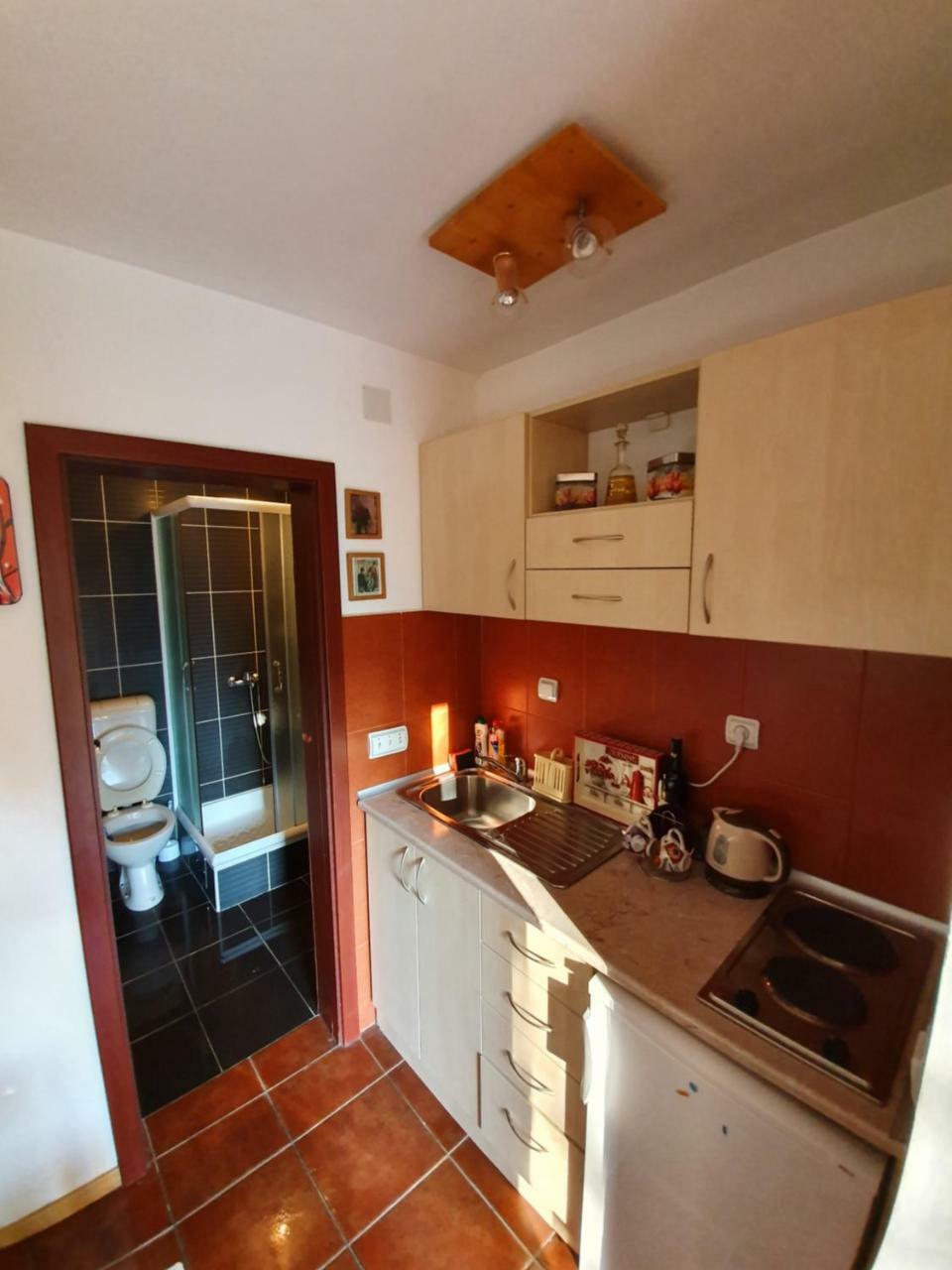 Apartment Matija Zlatibor Kültér fotó